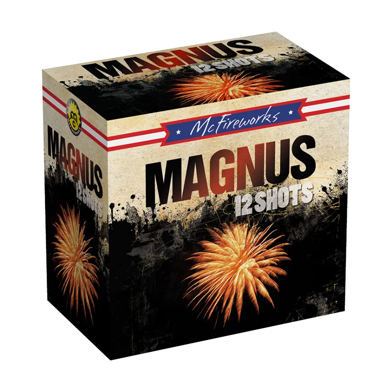 Magnus 12 Shots Cake ZF1003